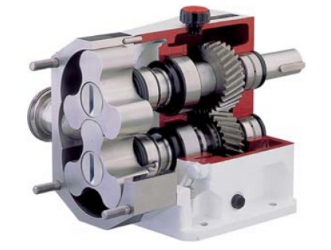 rotary lobe pumps